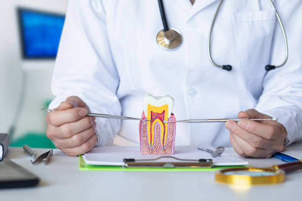 Best Emergency Wisdom Teeth Removal in South Amherst, OH